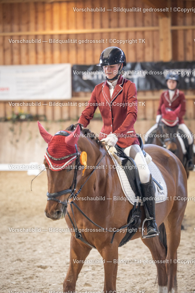 _D5A5580 | Emotionale Pferde- & People-Fotografie rund um Heidelberg, Leimen & Umgebung. Natürliche Fotos von Pferd, Mensch & Familie. Jetzt Termin sichern!