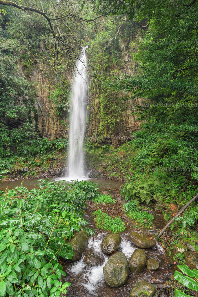 Wasserfall auf Madeira | Dieser versteckte Wasserfall befindet sich im Norden der Insel Madeira. - Realisiert mit Pictrs.com