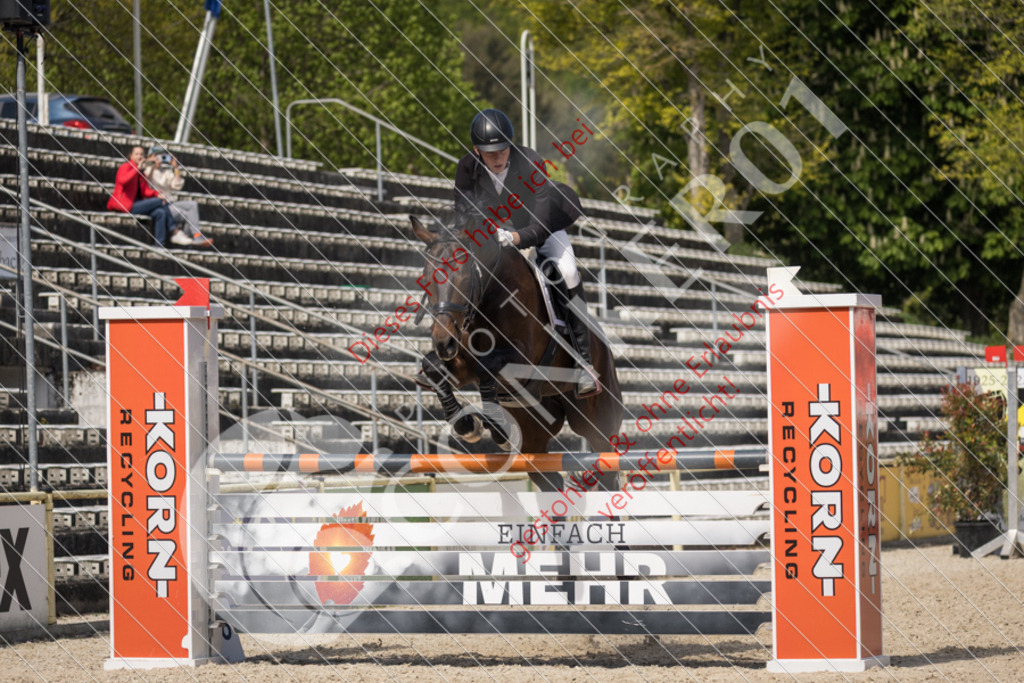 IMG_4378 | Sport-, Event- und Tierfotos in Profiqualität. Einfach auswählen, bestellen und herunterladen. Dein Moment – perfekt festgehalten.