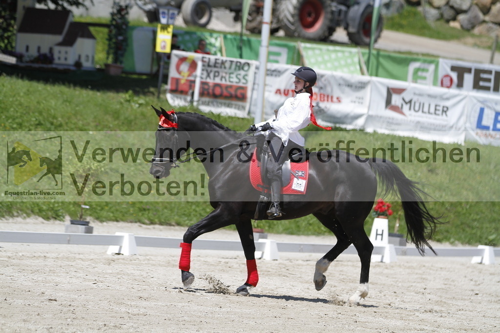 _MG_7448 | equestrian-live-com