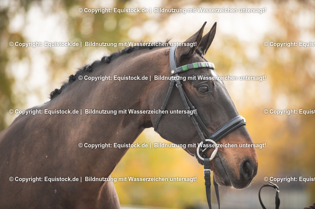 20251114_Boyd-Exell_TOMSPIC_0047 | Foto: Thomas Hartig