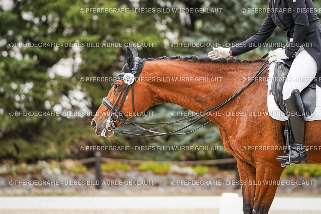 DSC07596 | Pferdegrafie