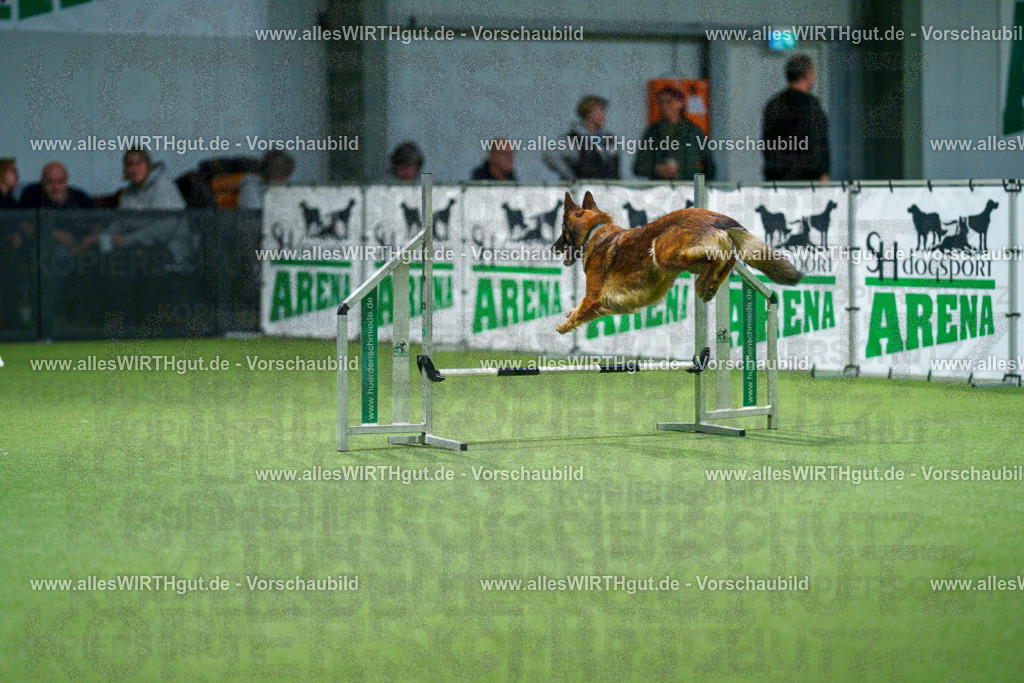 7R505601 | Professionelle Tierfotografie in Mönchengladbach von Daniel Wirth (allesWIRTHgut). Liebevolle & natürliche Bilder von Hunden & Katzen für unvergessliche Erinnerungen.