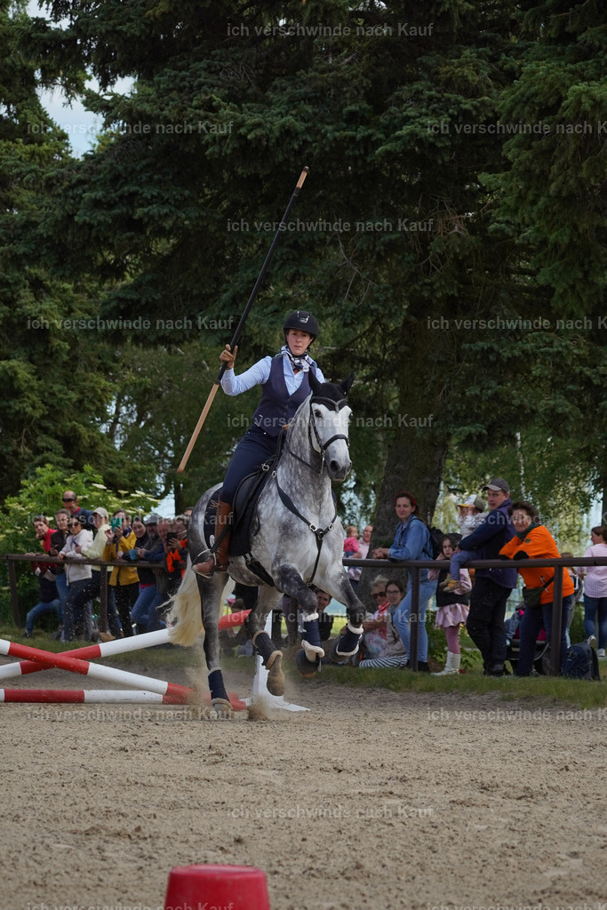 KlasseS_Lucie (181) | working equitationturnier fotograf videograf stoibphotography marixx film working equitation deutschland reitsport turnierfotografie eventfotografie equestrian events