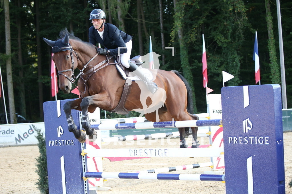 DL2Q6350 | Willkommen bei Brunnmayr - Design & Fotografie – Ihrem Spezialisten für Reitturniere und Pferdeveranstaltungen in Oberösterreich, Salzburg und Bayern! Seit über 17 Jahren sind wir leidenschaftlich dabei.