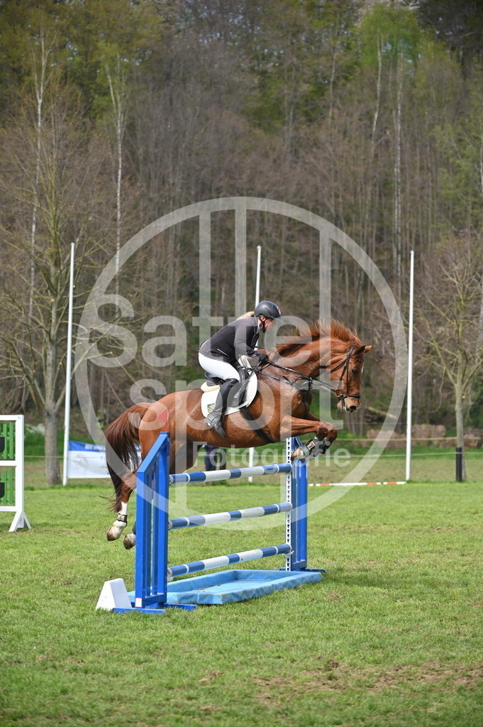 DSC_3786 | sattelsport - Realisiert mit Pictrs.com