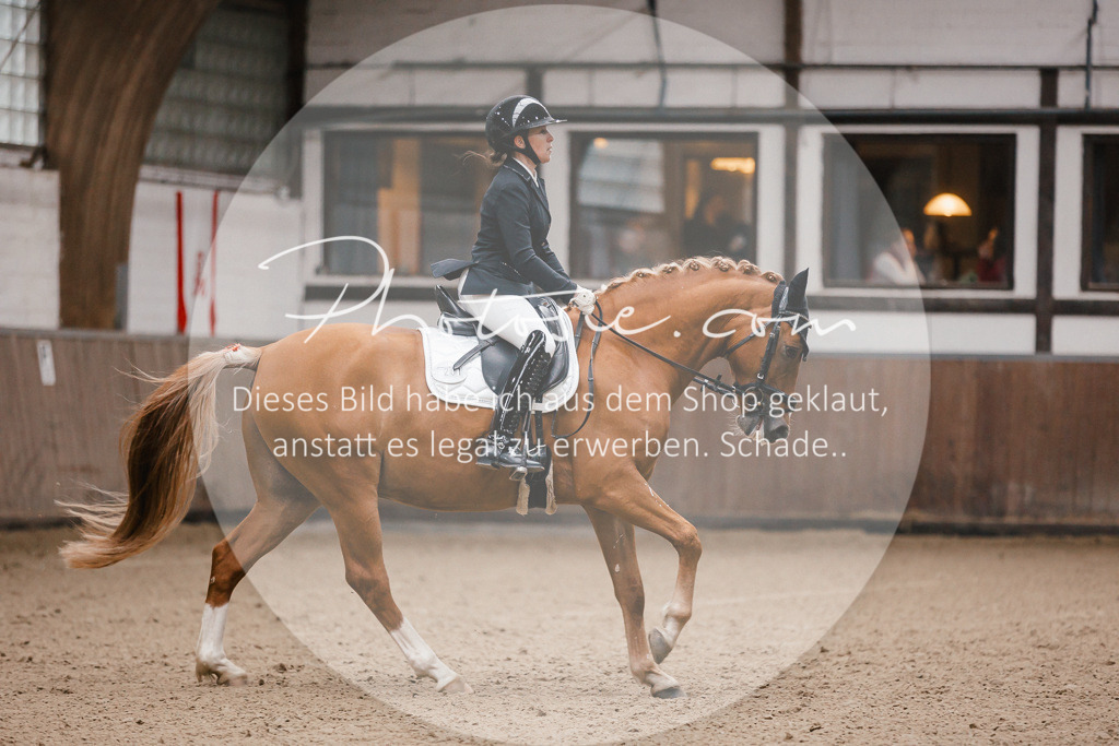 3I6A6487 | Stimmungsvolle Portraits und Reitsportfotografie im Ruhrgebiet und im Münsterland.

Pferdefotografie, Hundefotografie, Tierfotografie, Reportagen, Portraits von Tier und Mensch, Turnierfotografie in Bochum, Recklinghausen, Marl, Haltern am See, Dülmen.. - Realisiert mit Pictrs.com
