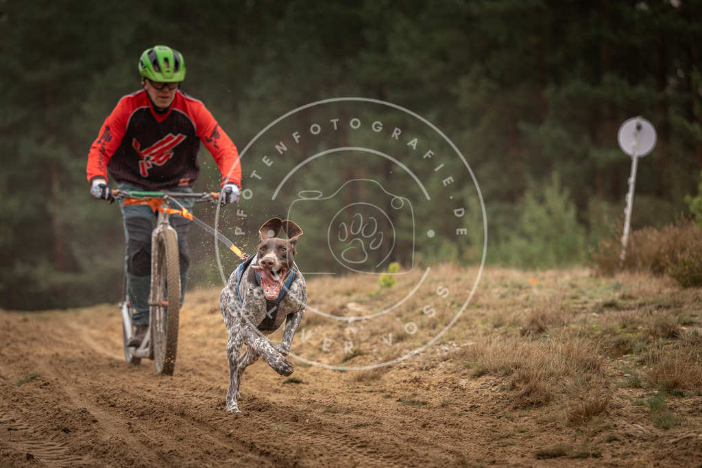 Pfotenfotografie_DV3A4690 | Hundefotografie, Tierfotograf, Pfotenfotografie, Fotoshooting Hund, Hunde Portrait, Hundesport, Hundeportraits, Heideshooting, Hunde, Sportfotograf, Hundefotograf, Turnierhundsport, THS,  - Realisiert mit Pictrs.com