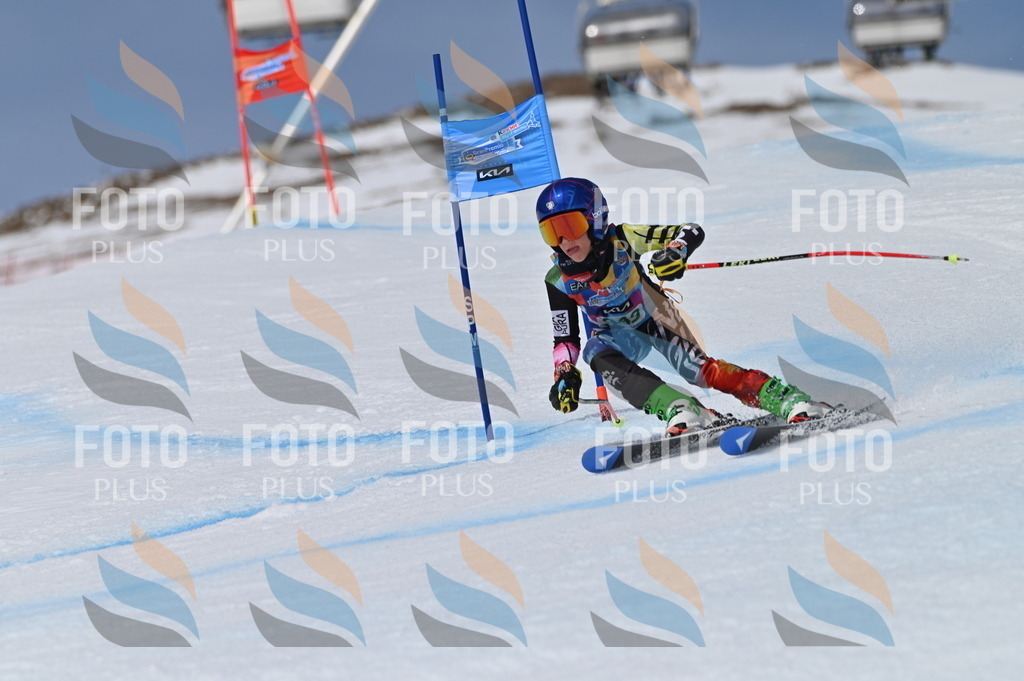 BGV_6822 | holidayphoto