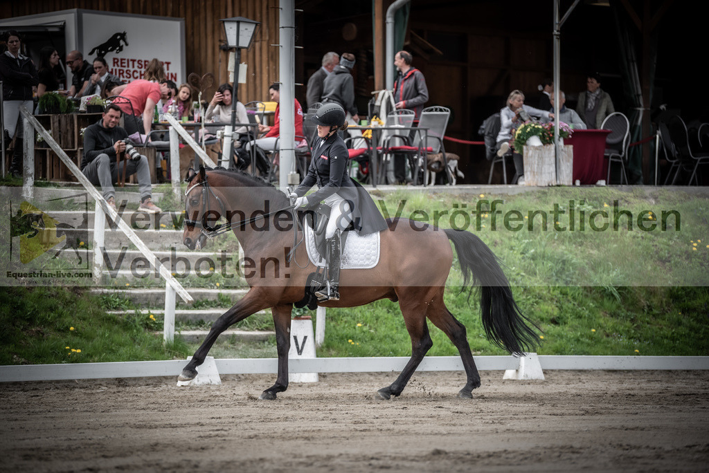 DSC_2463 | equestrian-live-com