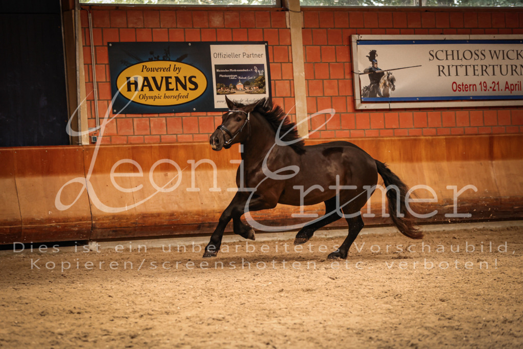 SaFL00390 | Leoni Ertmer Photography - Realisiert mit Pictrs.com