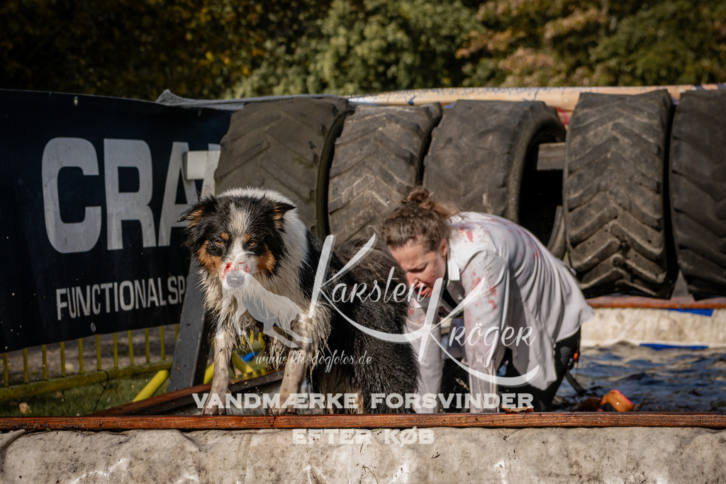 1357_ZZ93461 | kk-dogfotos