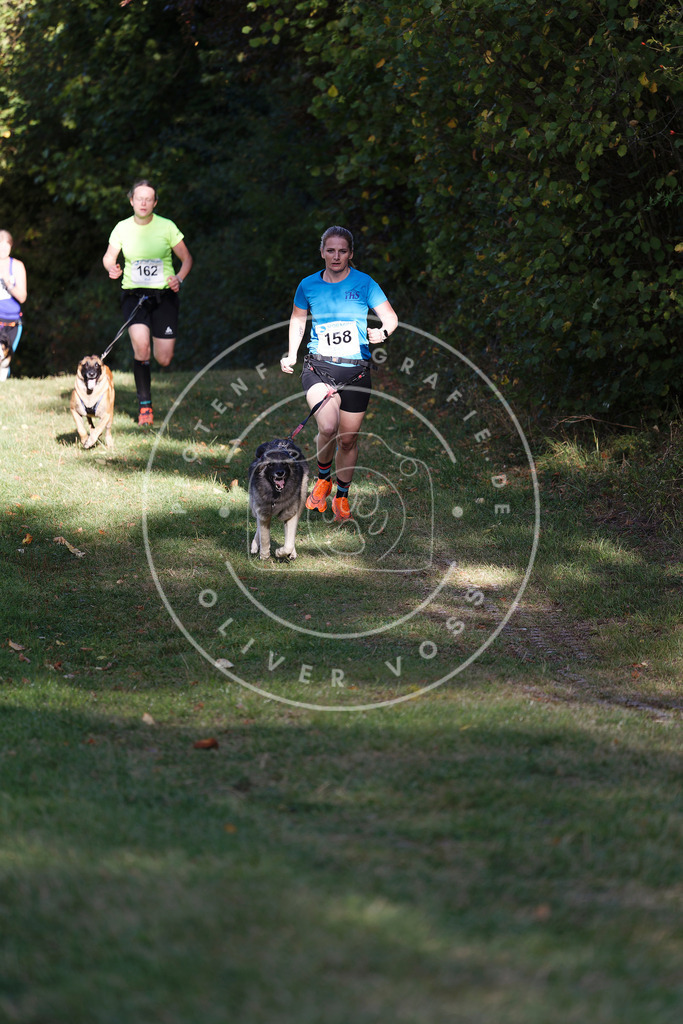 0L8A5185 | Hundefotografie, Tierfotograf, Pfotenfotografie, Fotoshooting Hund, Hunde Portrait, Hundesport, Hundeportraits, Heideshooting, Hunde, Sportfotograf, Hundefotograf, Turnierhundsport, THS,  - Realisiert mit Pictrs.com
