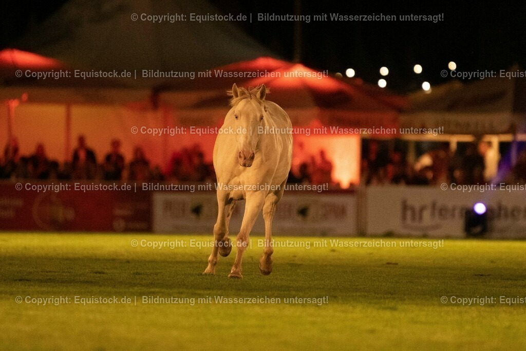 20230526_Pferdenacht_1465 | equistock