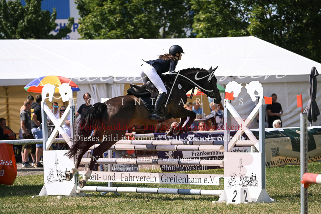 DSC_0446 | Pferde- und Turnierfotografie in Westsachsen. Pferdeportraits, Auftragszeichnungen und intuitive Kunst.