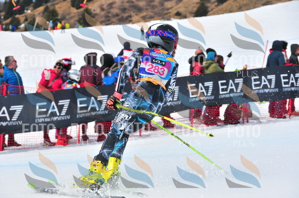 DSC_6388 | holidayphoto