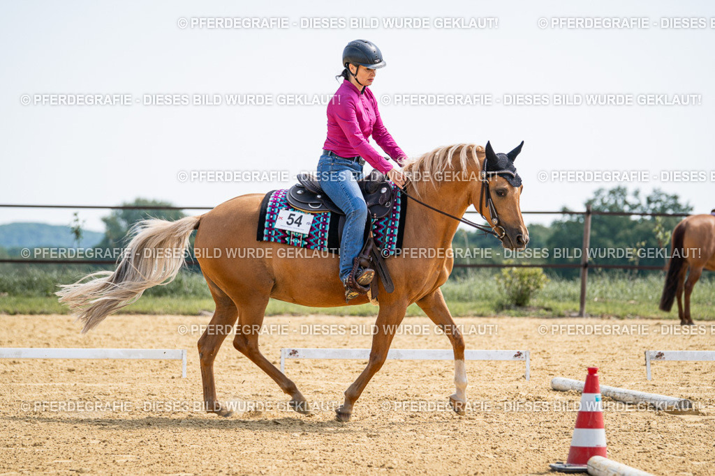 DSC00319 | Pferdegrafie