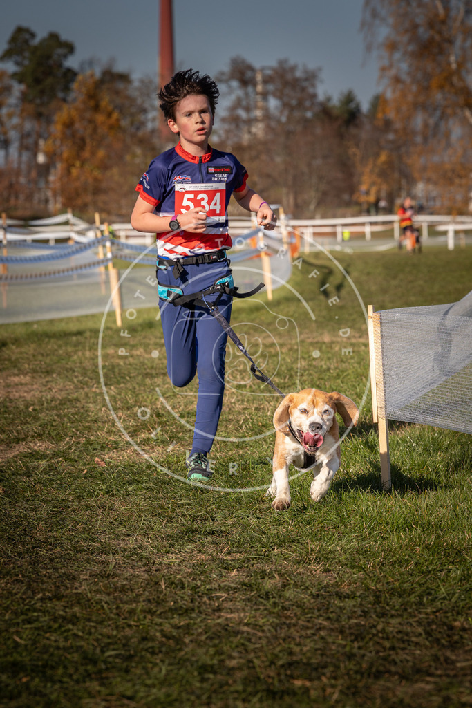 CaniXpix_0L8A7513 | Hundefotografie, Tierfotograf, Pfotenfotografie, Fotoshooting Hund, Hunde Portrait, Hundesport, Hundeportraits, Heideshooting, Hunde, Sportfotograf, Hundefotograf, Turnierhundsport, THS,  - Realisiert mit Pictrs.com