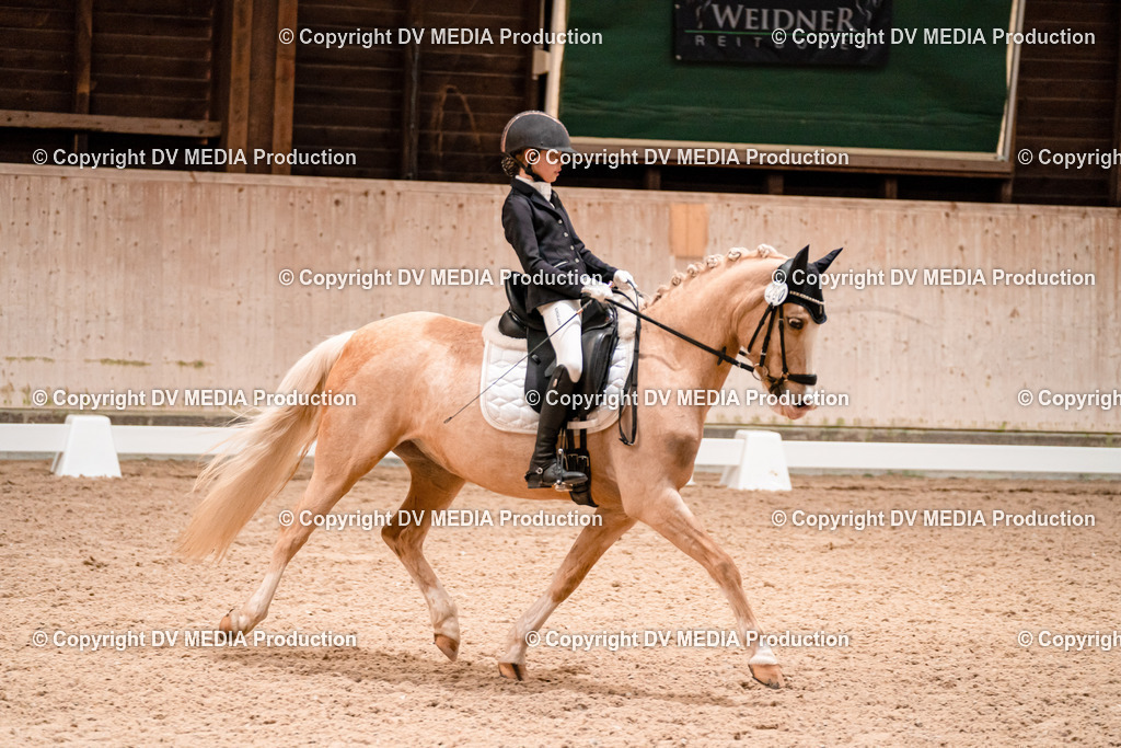 Dressur Tag 1 -391 | dv-media-shop - Realisiert mit Pictrs.com