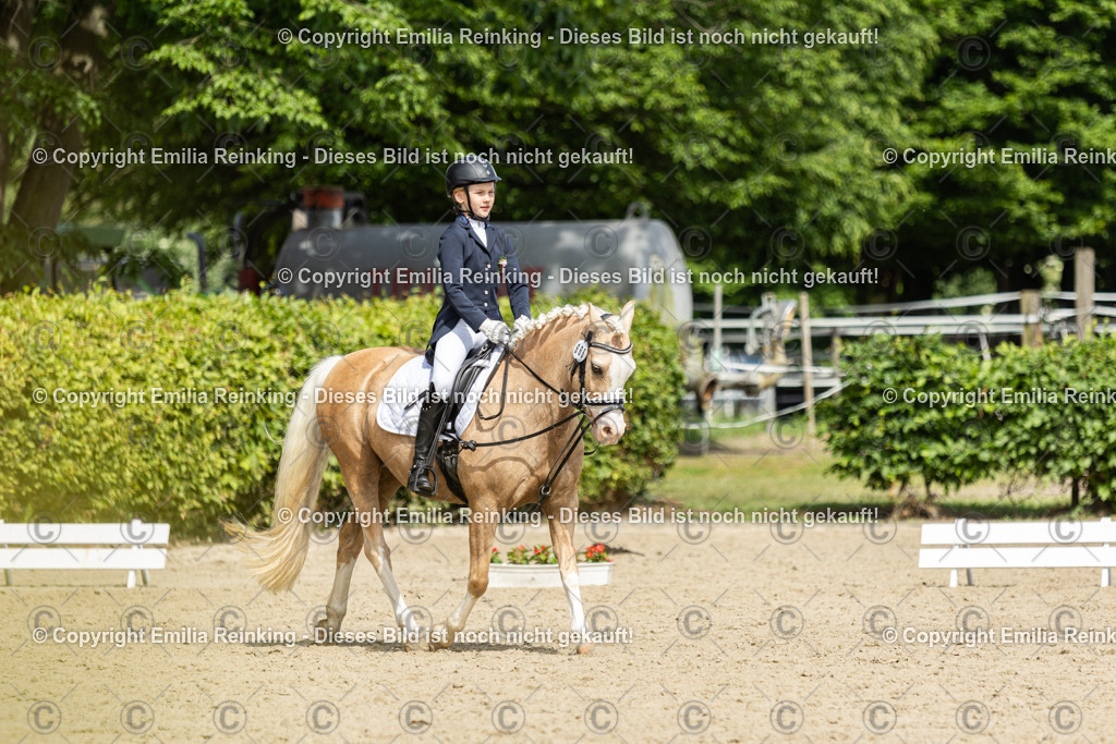 CL5A1275 | Emilia Reinking Fotografie - Realisiert mit Pictrs.com