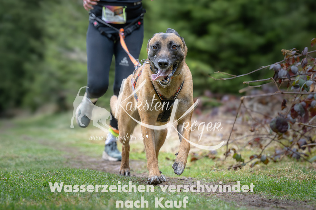 1304_ZZ93509 | kk-dogfotos