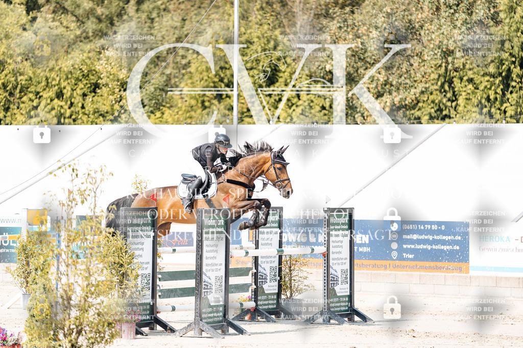 CK901758 | Turnierfotografie Pferdefotografie Trier Rheinland-Pfalz Pferdesport Reitsport Tierfotografie Sportfotografie Pferdevideo Pferdevideografie Equestrianvideography equestrianphotography  - Realisiert mit Pictrs.com
