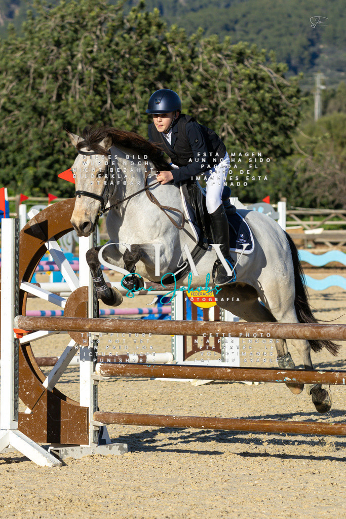 IMG_2240 | s-jay-photography - Realisiert mit Pictrs.com