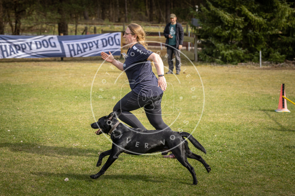 Pfotenfotografie_DV3A9416 | Hundefotografie, Tierfotograf, Pfotenfotografie, Fotoshooting Hund, Hunde Portrait, Hundesport, Hundeportraits, Heideshooting, Hunde, Sportfotograf, Hundefotograf, Turnierhundsport, THS,  - Realisiert mit Pictrs.com