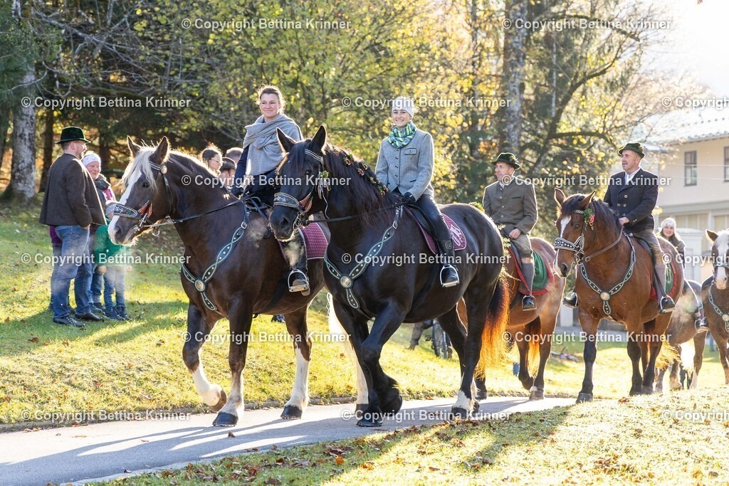 LL24-182 | foto-bettina-krinner - Realisiert mit Pictrs.com