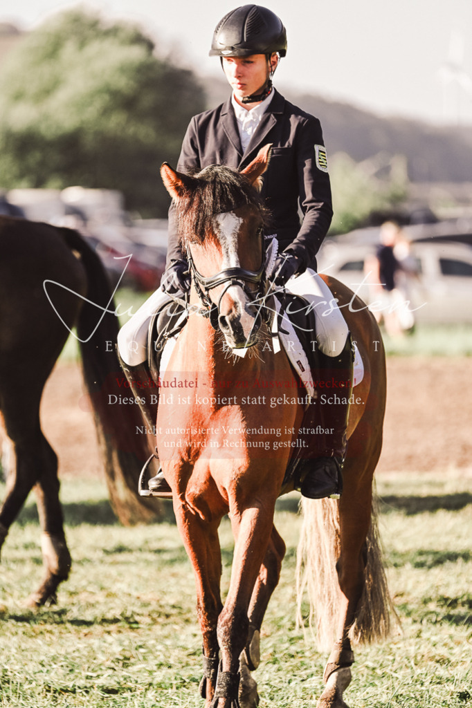 DSC_4591 | Pferde- und Turnierfotografie in Westsachsen. Pferdeportraits, Auftragszeichnungen und intuitive Kunst.
