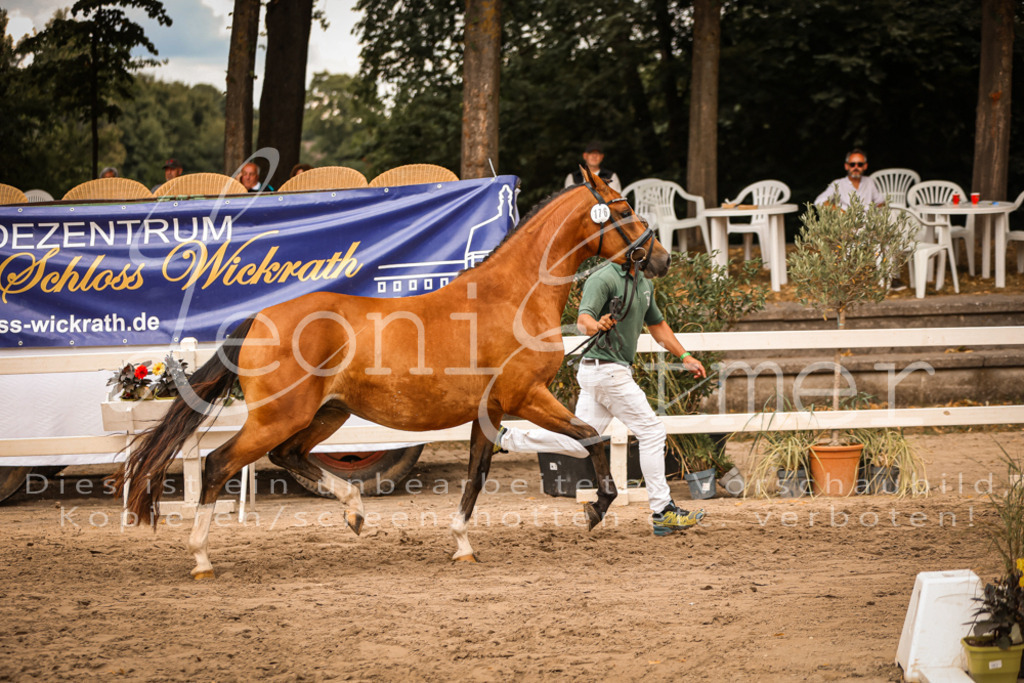 08.So00027 | Leoni Ertmer Photography - Realisiert mit Pictrs.com