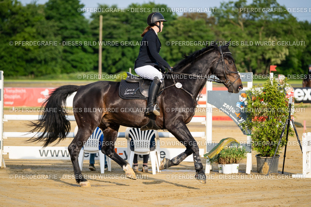 DSC02098 | Pferdegrafie