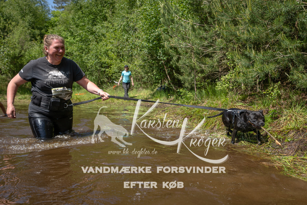 DK K991775141426 | kk-dogfotos