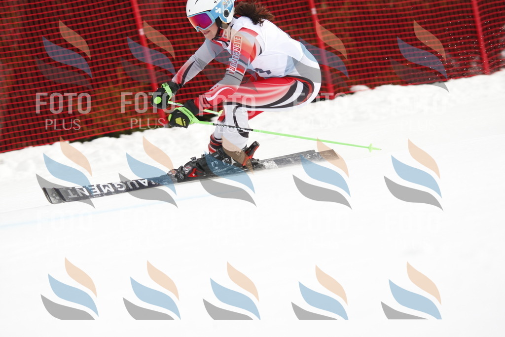 D4932 | holidayphoto