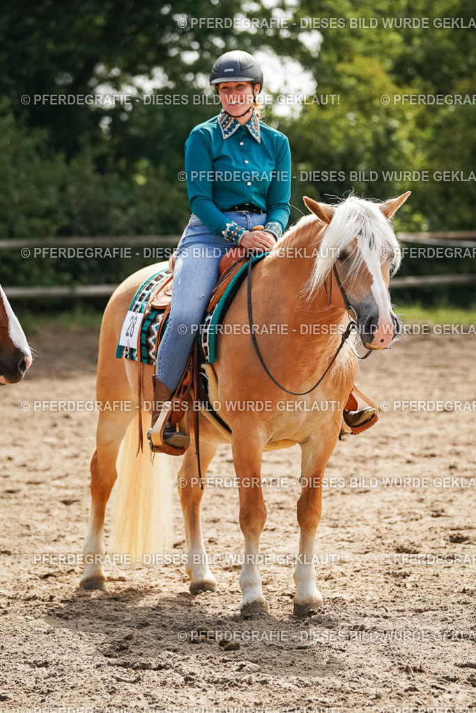 DSC04614 | Pferdegrafie