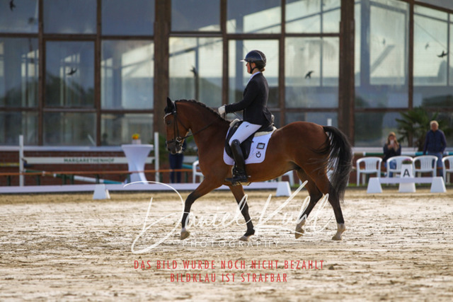 DKP43905 | Turniersportfotografie; Pferdefotografie; Dressurfotografie