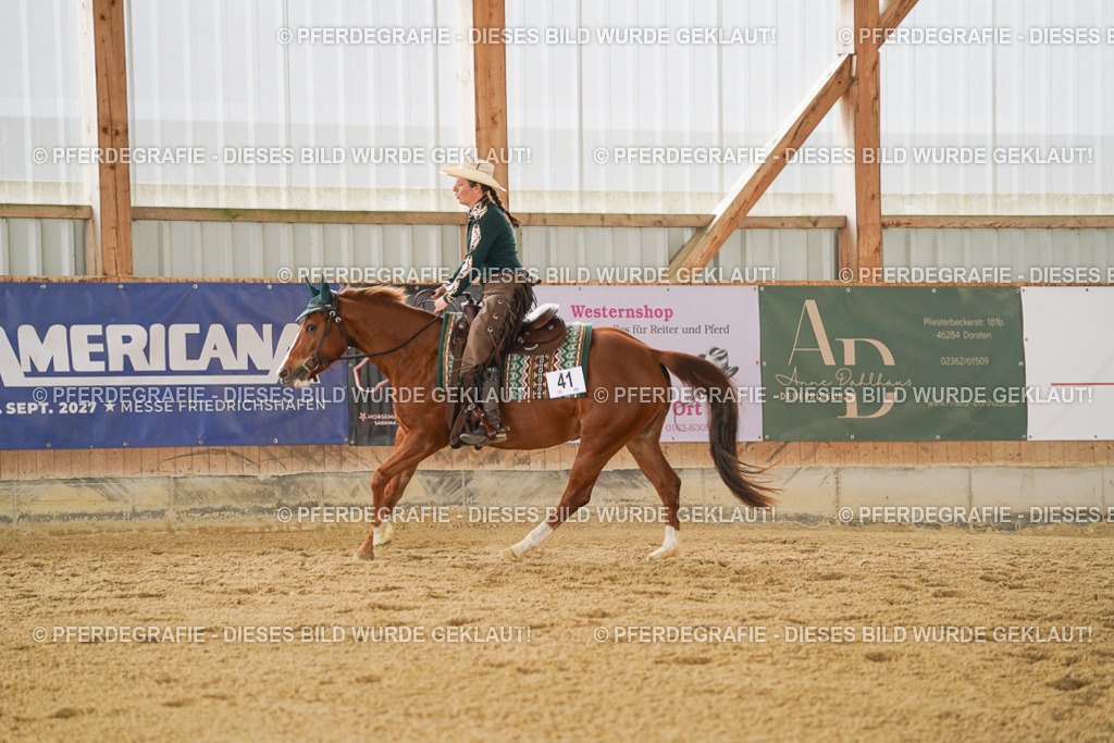 DSC03776 | Pferdegrafie