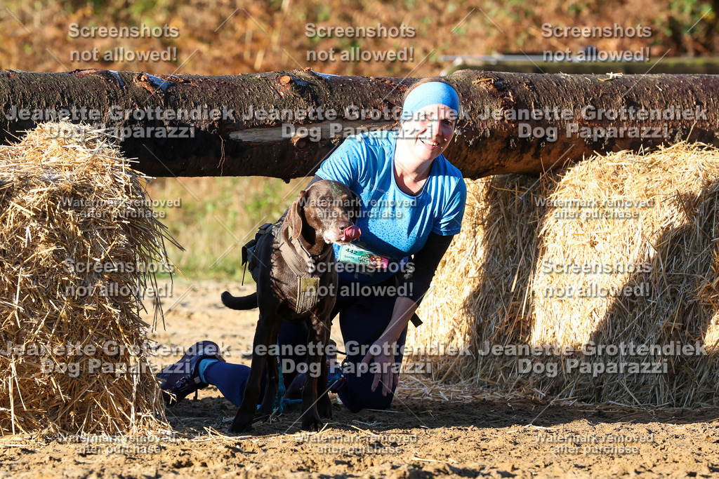 Dog Paparazzi - Strongdog 10-25-1047 | Dog Paparazzi Jeanette Grottendiek Fotografie & Videografie - Realisiert mit Pictrs.com