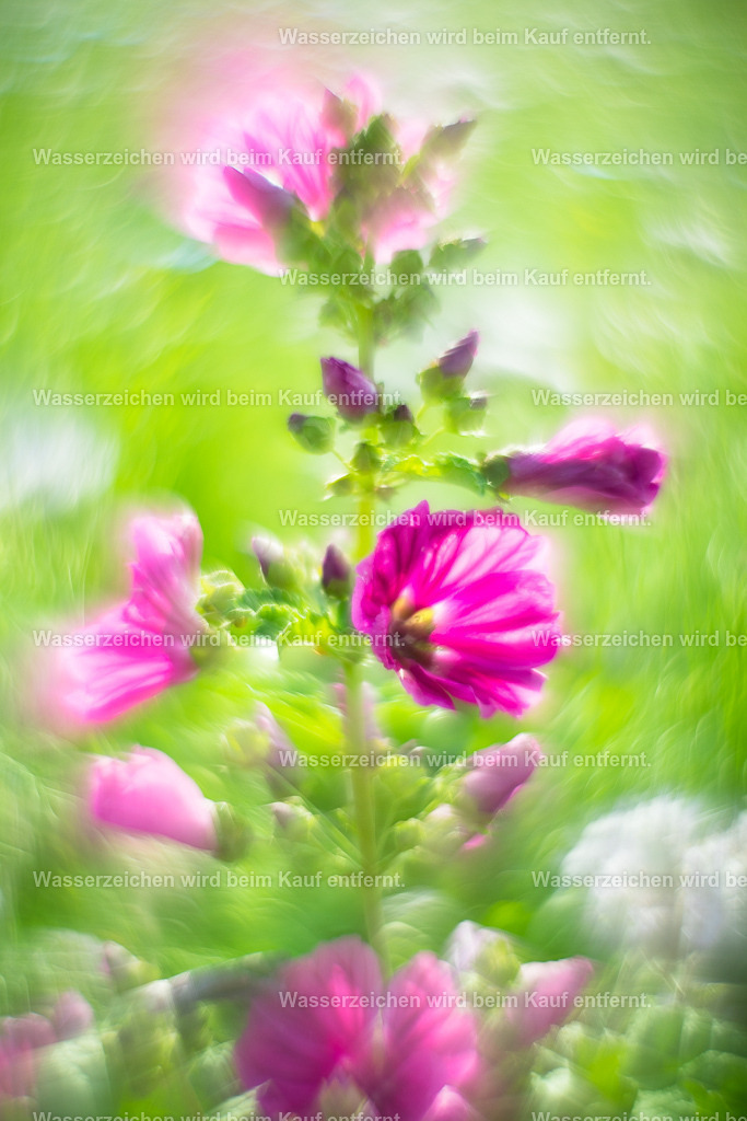 Öffnung | Die Botschaft zum Bild lautet: Öffne dich für das Universum, öffne dein drittes Auge, öffne dich für Möglichkeiten in deinem Leben. Nutze dieses Bild zum Meditieren für die Öffnung deiner Intuition.