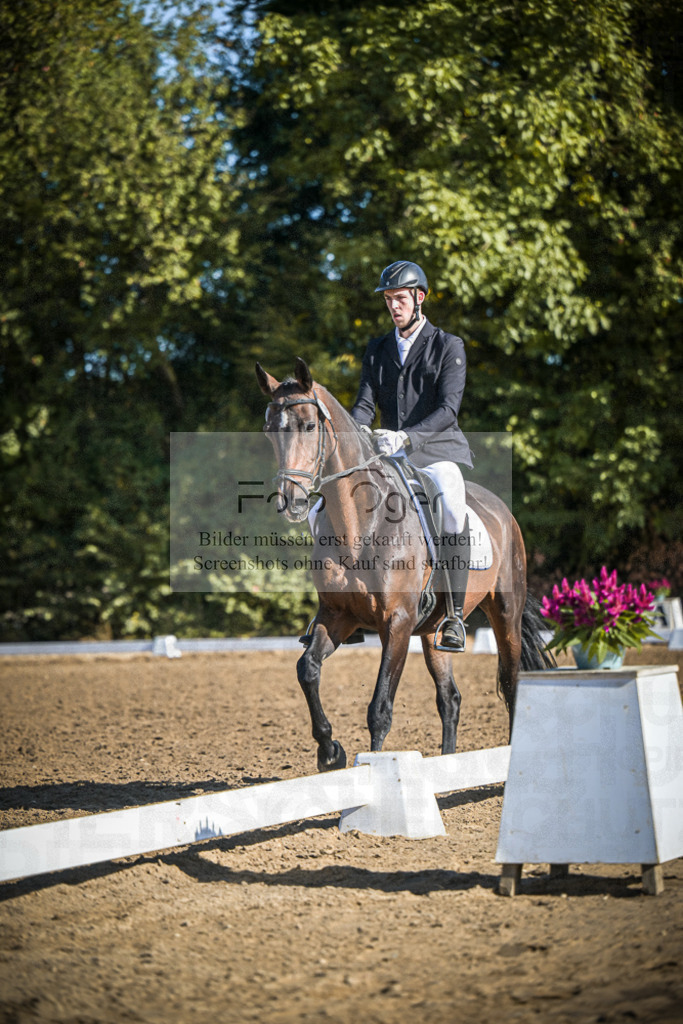 DOS_1398 | Entdecke hochwertige Reitturnierfotos von Foto Oger. Professionell, emotional und authentisch – jetzt Lieblingsmomente im Shop bestellen.Deutschlandweite Turnierfotografie. - Realisiert mit Pictrs.com