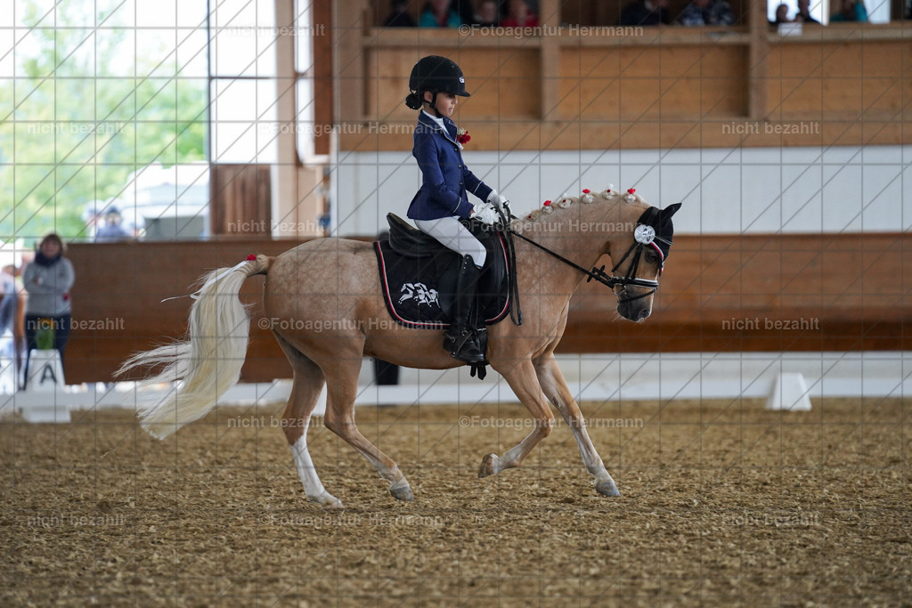FAH09385 | Turnierbilder, Reitsportfotos, LAPO, Landesponyturnier, Turnierfotografen Bayern