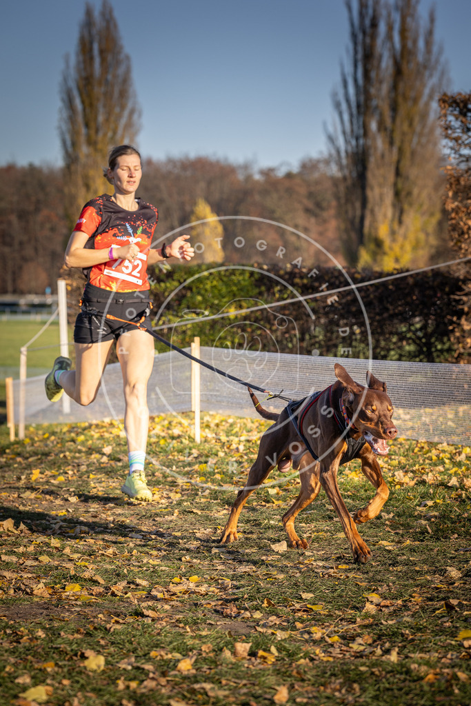 CaniXpix_DV3A2477 | Hundefotografie, Tierfotograf, Pfotenfotografie, Fotoshooting Hund, Hunde Portrait, Hundesport, Hundeportraits, Heideshooting, Hunde, Sportfotograf, Hundefotograf, Turnierhundsport, THS,  - Realisiert mit Pictrs.com