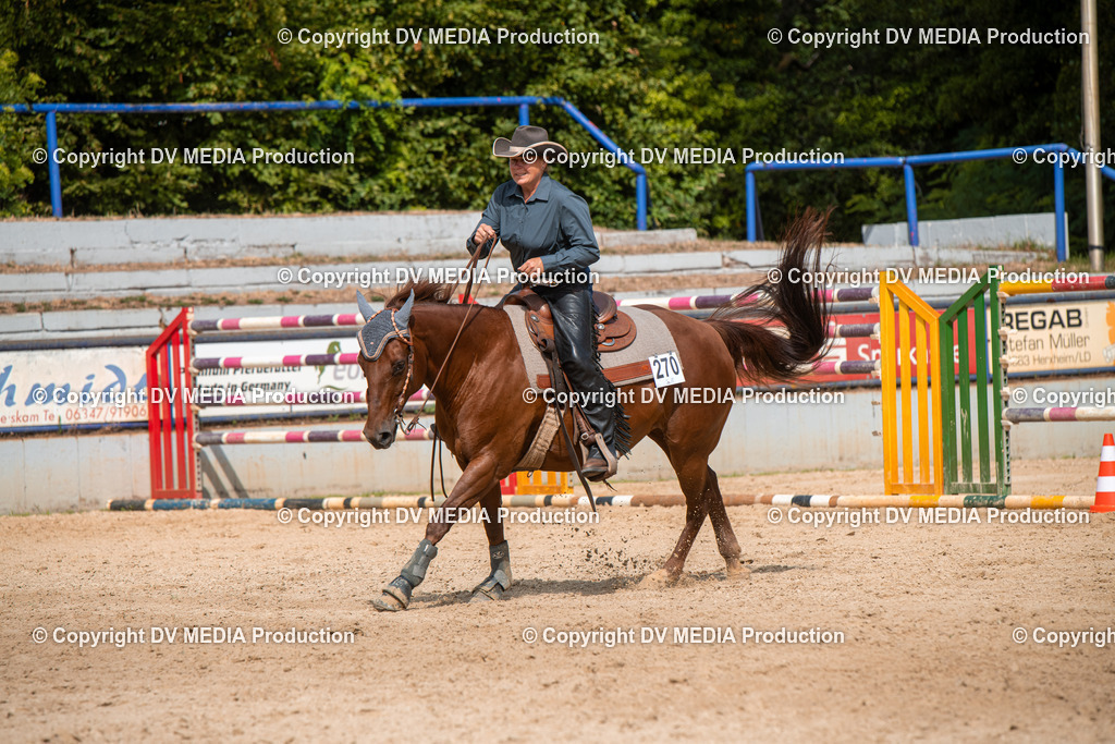 EWP_5967 | dv-media-shop - Realisiert mit Pictrs.com