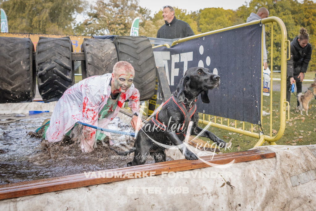 1458_ZZ90756 | kk-dogfotos