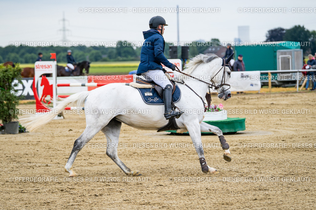 DSC05891 | Pferdegrafie