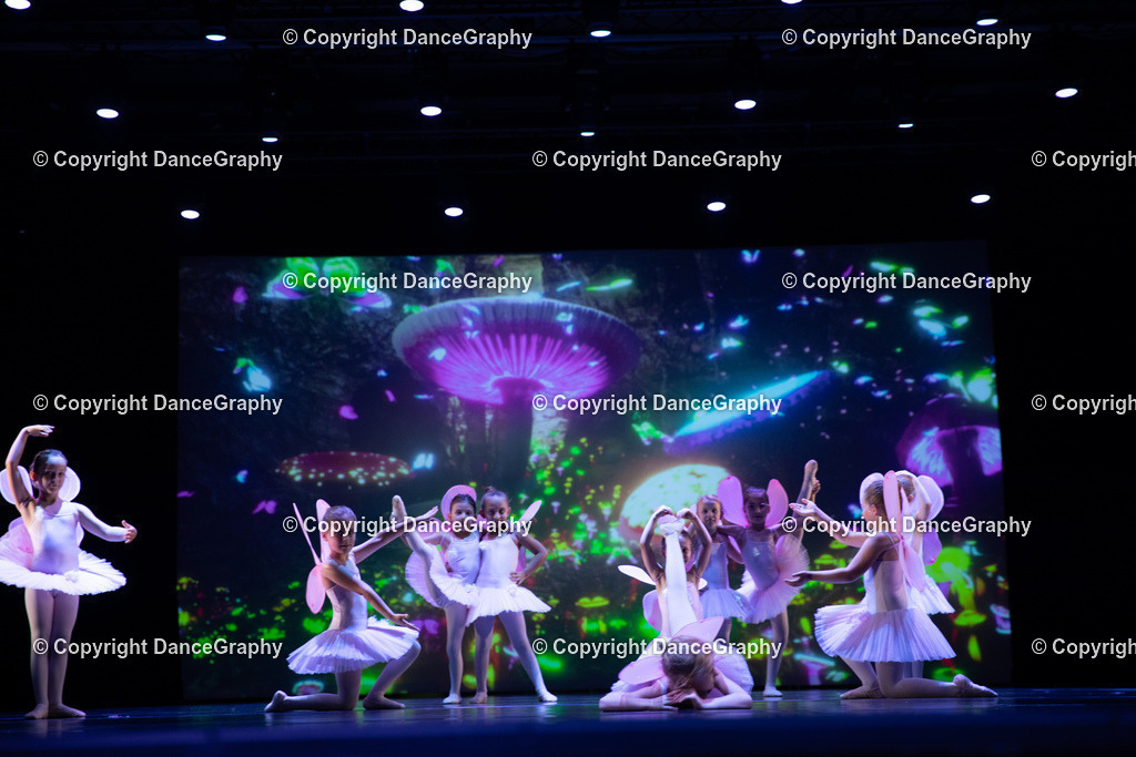 GPHY4751 | DanceGraphy - Realisiert mit Pictrs.com