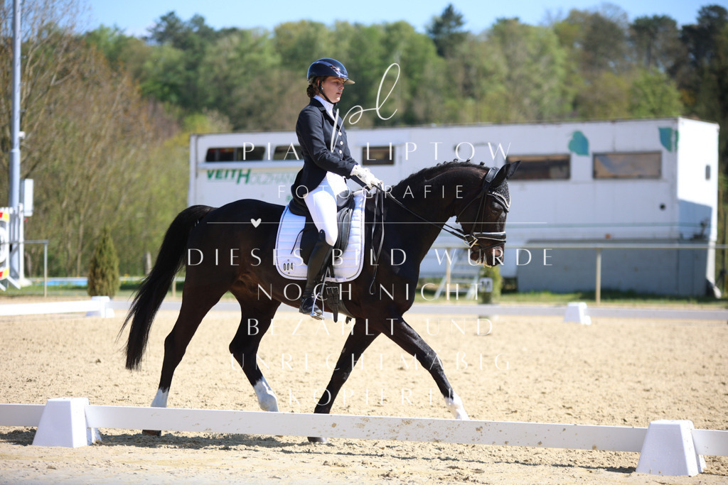 IMGT7849 | pl-fotografie