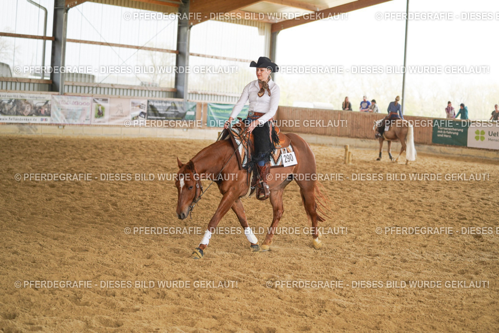 DSC05973 | Pferdegrafie