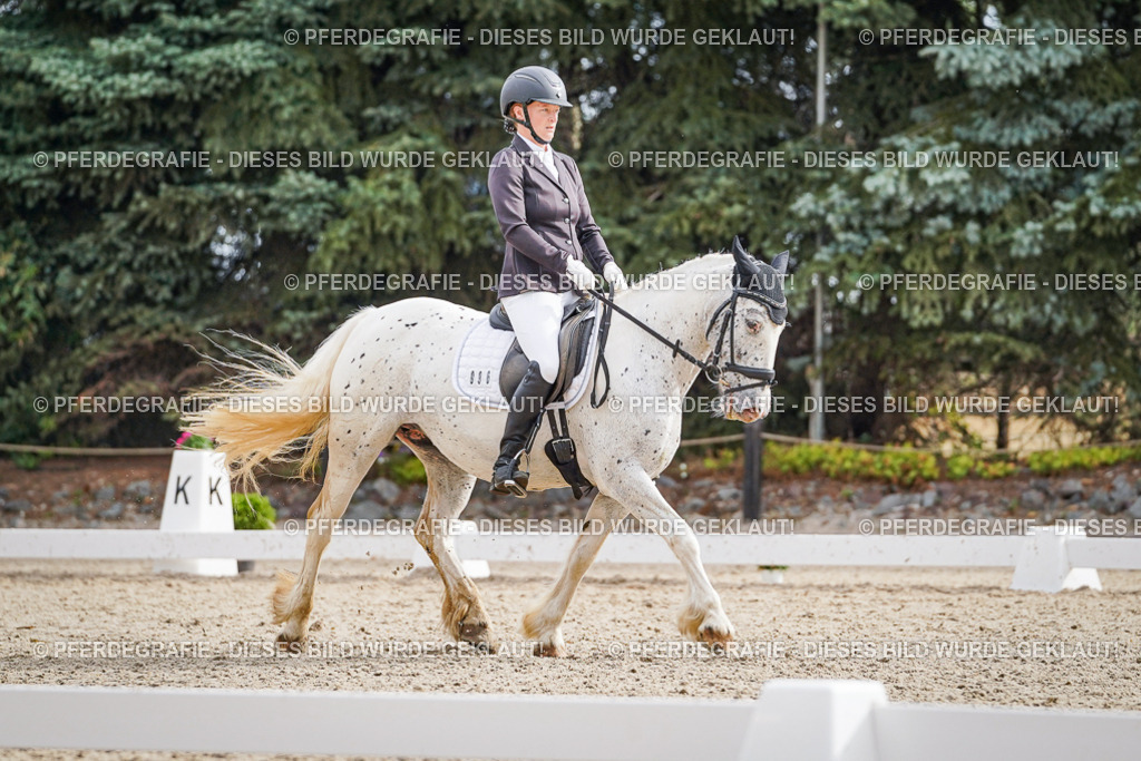 DSC01055 | Pferdegrafie