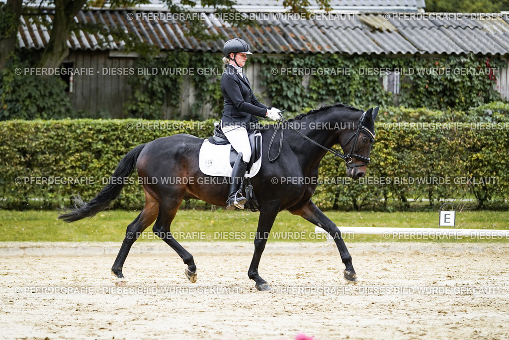 DSC07136 | Pferdegrafie